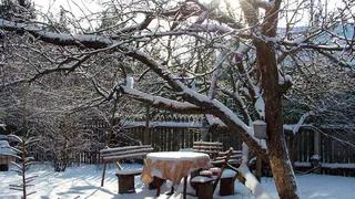 Астрологический прогноз огородника и садовода на 2024 год