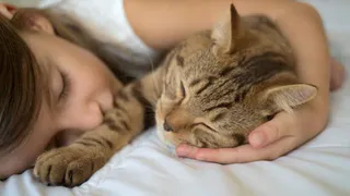 Приметы и запреты на 25 июня: загадываем желание перед сном