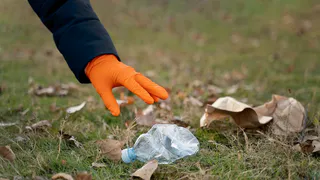 На сельскохозяйственной зоне Владимирской области устроили свалку