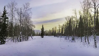 Мокрый снег и оттепель: прогноз погоды на новую рабочую неделю