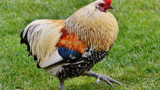 Над этими приметами смеются — но именно они чаще всего оказываются правдой: не игнорируйте их