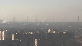 Рязанские общественники потребовали уволить замруководителя Росприроднадзора