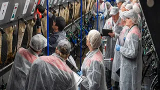 Владимирские специалисты в числе победителей Всероссийского конкурса машинного доения