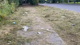 Сделали полдела: на Советской армии после покоса траву бросили на дороге