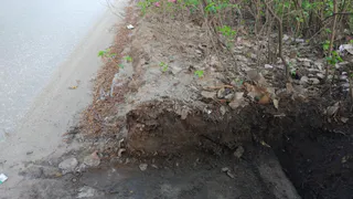 Ямы на дорогах и грязь на тротуарах: жители Недостоева недовольны работой городских служб
