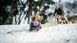 Сотрудники «Колоса» обратились к президенту с просьбой вернуть его детям
