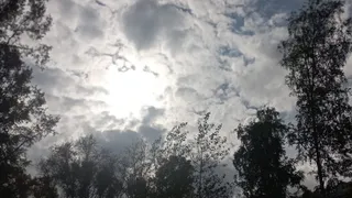Погода в Глазове на 31 августа