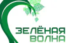 Березы липы, клены…
