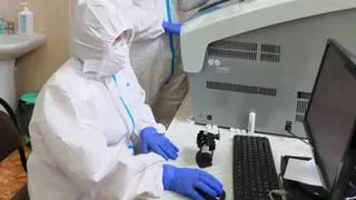 700 человек: российский Минздрав назвал число тяжелобольных COVID-19