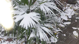 Синоптики предупредили, что будет в конце весны: не убирайте далеко тёплую одежду