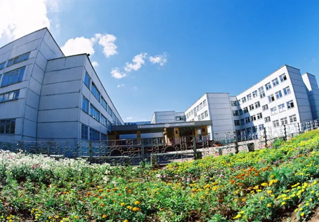 Директора нижнекамской школы накажут за приёмку несуществующих работ