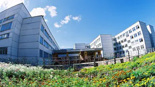 Директора нижнекамской школы накажут за приёмку несуществующих работ