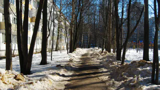 Экстремальные морозы до -48, снегопады, лавины: прогноз погоды в России на следующую неделю