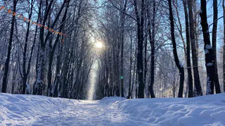 Закупайтесь валенками и шубами - на нас движется мороз: Вильфанд предупредил россиян об аномальном похолодании