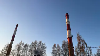 В Коми лесопромышленный комплекс получил награду за экологические технологии