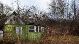 Жители области могут столкнуться со штрафами за заброшенные земельные участки