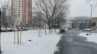 Россиян предупредили о возвращении «осени» после недолгой зимней погоды - снежная сказка отменяется