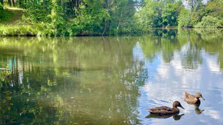 Коровий пруд в Магнитогорске ждет масштабная реконструкция: как спасут сады и поселки от подтопления