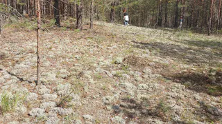 В Рязанском районе стартовала противопожарная опашка 