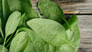 Больше никакого жёсткого щавеля! Одна хитрость — и листья станут мягкими, сочными и вкусными