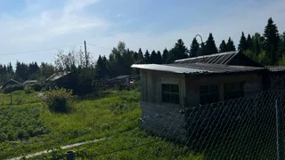 Новые правила изъятия дачных участков в России: что изменится с 1 сентября