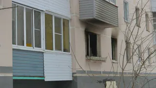 Пожар в Песочне: фото с места происшествия