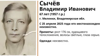Во Владимирской области разыскивают пропавшего 67-летнего жителя города Меленки