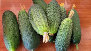 Не сорта, а чемпионы - эти огурцы уже 5 лет сажаю, они никогда не подводили. Дачники, берите на заметку 