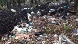 За 2025 год во Владимирской области ликвидировали более тысячи незаконных свалок