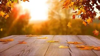 Погода недели: летнее тепло вернулось в Россию