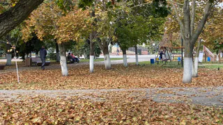 24 октября в Рязанской области ожидается сильный ветер и до +12