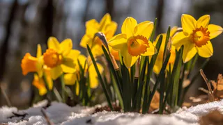 Температура будет выше нормы: синоптики представили неожиданный прогноз на апрель