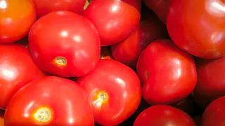 Просто добавьте 7 капель и помидоры сразу идут в рост – урожая на грядках в 2 раза больше