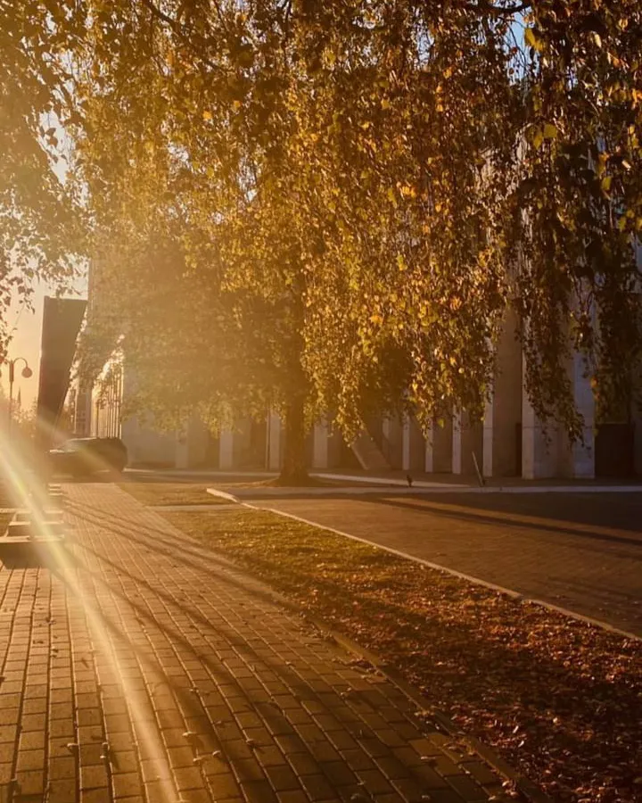 Гороскоп на 27 июня советует полагаться на себя и сохранять уверенность в своей правоте