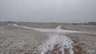 Зима очень близко: в Рязани скоро выпадет снег