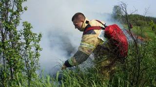 В Брянской области за сутки было зарегистрировано 11 пожаров