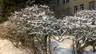 На большей части Коми 7 декабря установятся настоящие зимние морозы