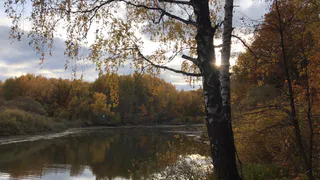 МЧС предупреждает: в четверг в Рязани похолодает до +9 градусов