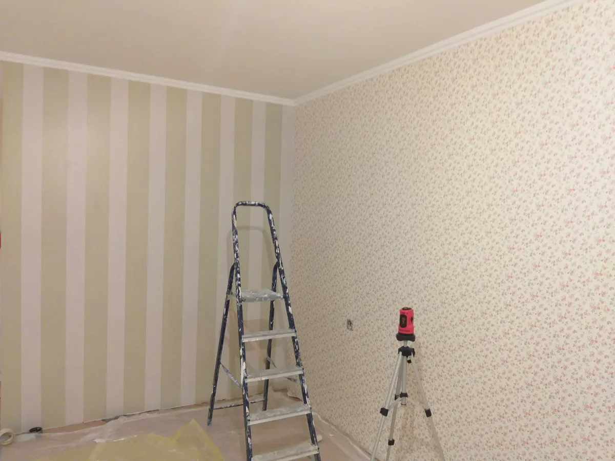Обои или краска: что лучше выбрать для ремонта в квартире