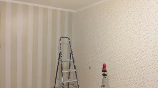 Обои или краска: что лучше выбрать для ремонта в квартире