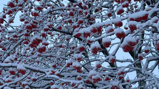 Снежные перспективы — синоптики озвучили прогноз по высоте сугробов к праздникам