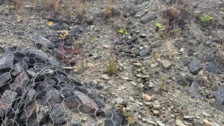 Суд обязал РЖД усилить грунт на проблемном железнодорожном участке в Коми