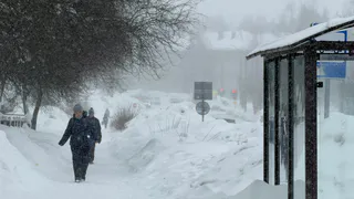 Руководитель фирмы в Татарстане обвиняется в невыплате зарплаты: долг превысил 191 тыс. рублей