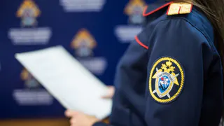 В СК рассказали об опросе соседей и родственников погибшей на улице Березовой девушки