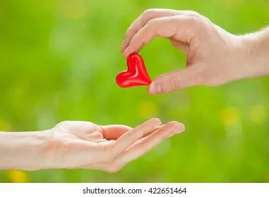 Приметы и запреты на 29 июля: руку и сердце сегодня лучше не предлагать