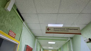 Ситуация с инфекционными и паразитарными заболеваниями в Коми не улучшается