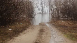 Ока вышла из берегов везде, кроме Рязани