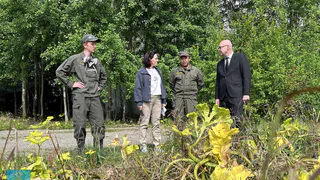 Сыктывкар усиливает борьбу с опасным борщевиком