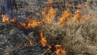 В Спасском районе ликвидировали 3 очага возгорания