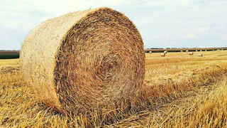 45-летний житель Пензенской области украл 5 тюков соломы весом 400 кг